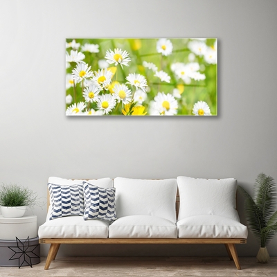 Quadro de vidro Planta de flor margarida