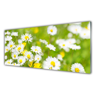 Quadro de vidro Planta de flor margarida