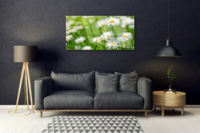 Quadro de vidro Planta de flor margarida