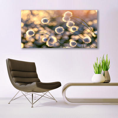 Quadro de vidro Flores Planta Natureza