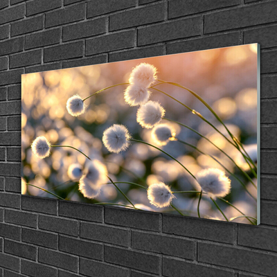 Quadro de vidro Flores Planta Natureza