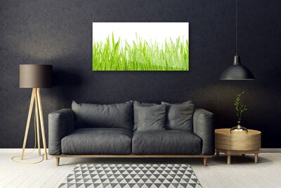 Pintura em vidro Grama Natureza Planta