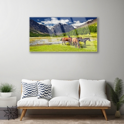 Quadro de vidro Montanhas Árvores Cavalos Animais