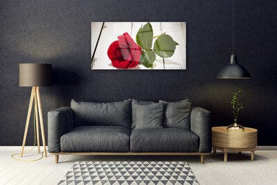 Quadro de vidro Rosa Flor Planta Natureza