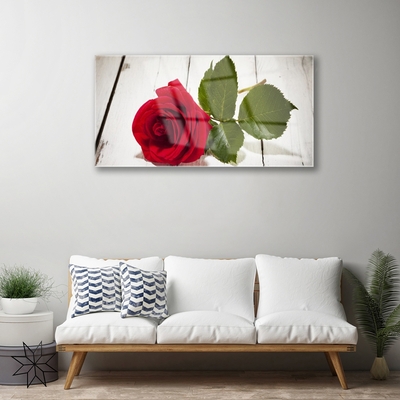 Quadro de vidro Rosa Flor Planta Natureza