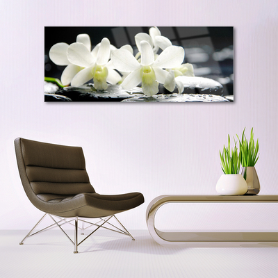 Quadro de vidro Pedras Flores Orquídea