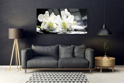 Quadro de vidro Pedras Flores Orquídea