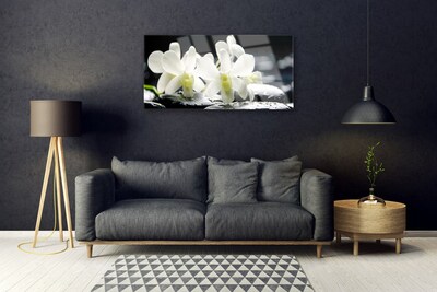 Quadro de vidro Pedras Flores Orquídea