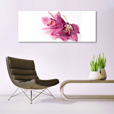 Quadro de vidro Flores Planta Natureza