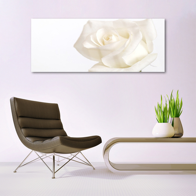 Quadro de vidro Flores de rosas