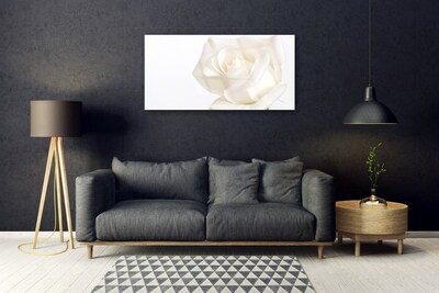 Quadro de vidro Flores de rosas