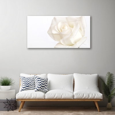 Quadro de vidro Flores de rosas