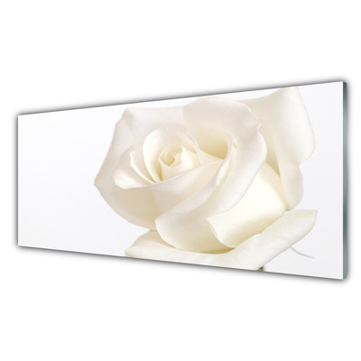 Quadro de vidro Flores de rosas