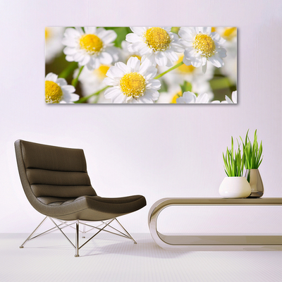 Pintura em vidro Flores Margarida Natureza