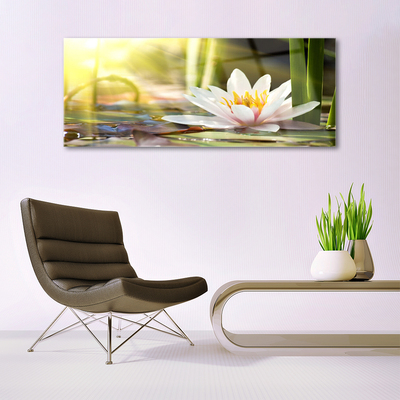 Quadro de vidro Flor de lírio d'água