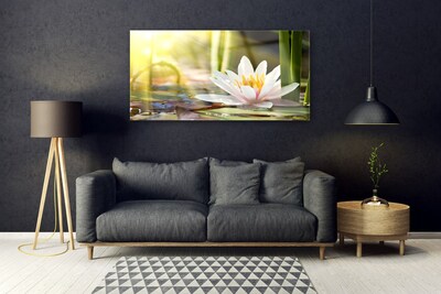 Quadro de vidro Flor de lírio d'água