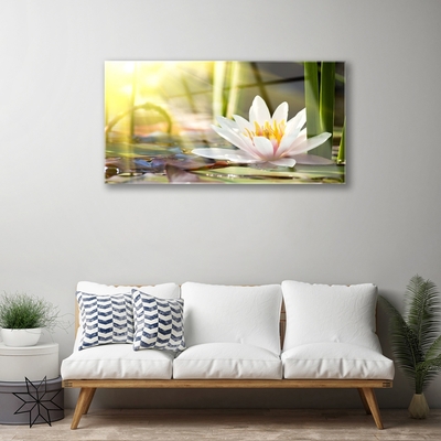 Quadro de vidro Flor de lírio d'água