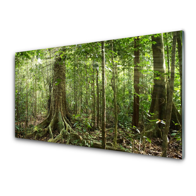 Quadro de vidro Floresta Natureza Selva Árvores