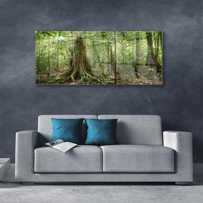 Quadro de vidro Floresta Natureza Selva Árvores
