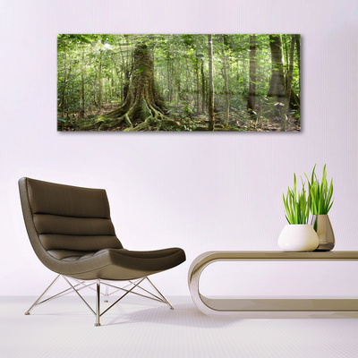 Quadro de vidro Floresta Natureza Selva Árvores