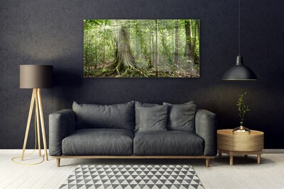 Quadro de vidro Floresta Natureza Selva Árvores