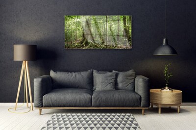 Quadro de vidro Floresta Natureza Selva Árvores