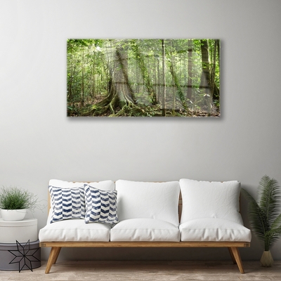 Quadro de vidro Floresta Natureza Selva Árvores