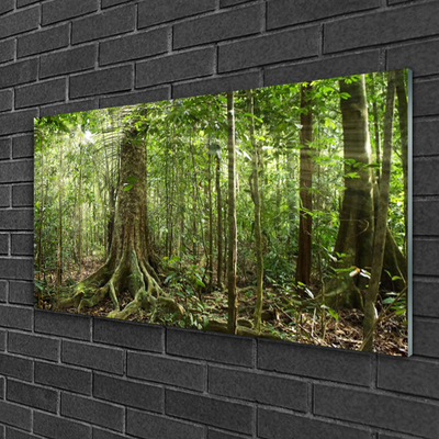 Quadro de vidro Floresta Natureza Selva Árvores