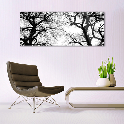 Quadro de vidro Árvores Natureza Preto e Branco