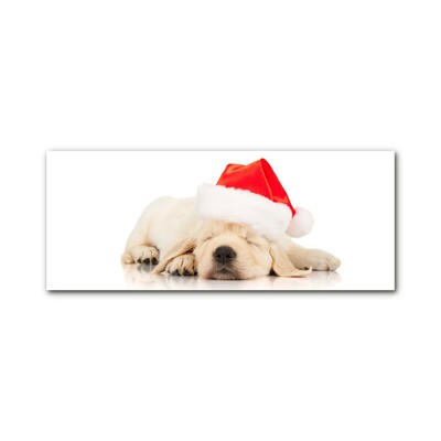 Pintura em vidro Chapéu de Papai Noel para filhotes de inverno