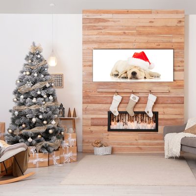 Pintura em vidro Chapéu de Papai Noel para filhotes de inverno