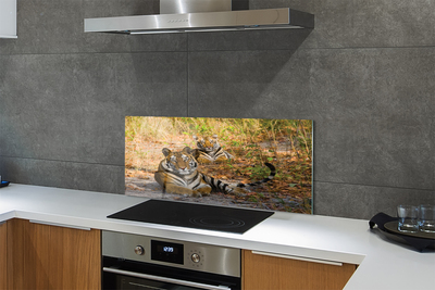 Painel de vidro Tigres