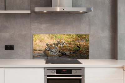 Painel de vidro Tigres