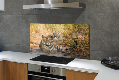 Painel de vidro Tigres