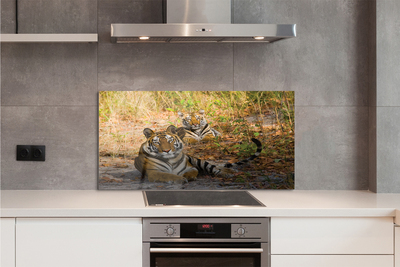 Painel de vidro Tigres