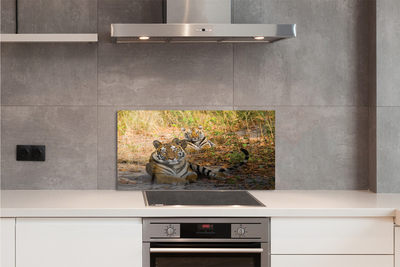 Painel de vidro Tigres