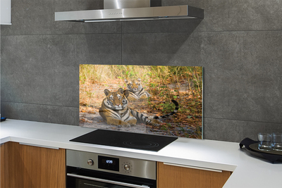 Painel de vidro Tigres