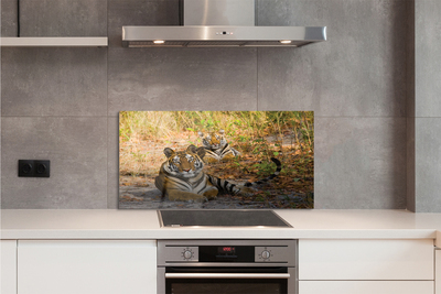 Painel de vidro Tigres