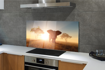 Painel de vidro Nascer do sol na árvore elefante