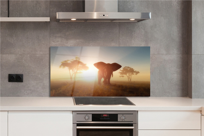 Painel de vidro Nascer do sol na árvore elefante