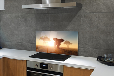 Painel de vidro Nascer do sol na árvore elefante