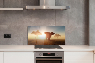 Painel de vidro Nascer do sol na árvore elefante