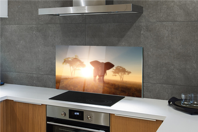 Painel de vidro Nascer do sol na árvore elefante