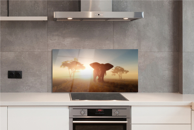 Painel de vidro Nascer do sol na árvore elefante