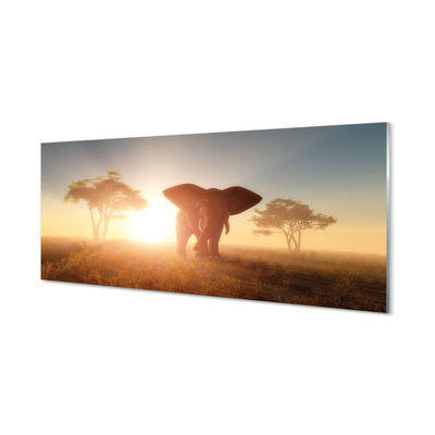 Painel de vidro Nascer do sol na árvore elefante