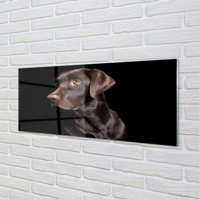 Painel de vidro Cachorro marrom