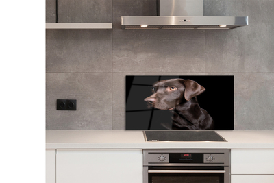 Painel de vidro Cachorro marrom