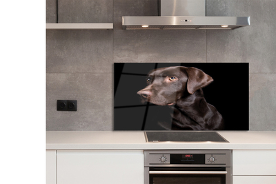 Painel de vidro Cachorro marrom