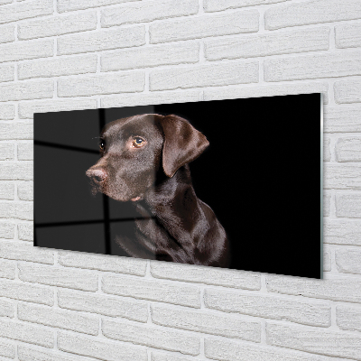 Painel de vidro Cachorro marrom