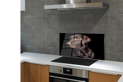 Painel de vidro Cachorro marrom